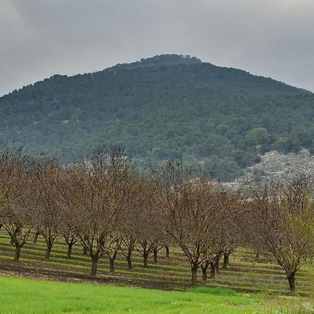 Pearl Of The Valley Hotel Kfar Tavor Kültér fotó