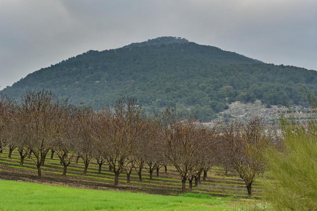 Pearl Of The Valley Hotel Kfar Tavor Kültér fotó