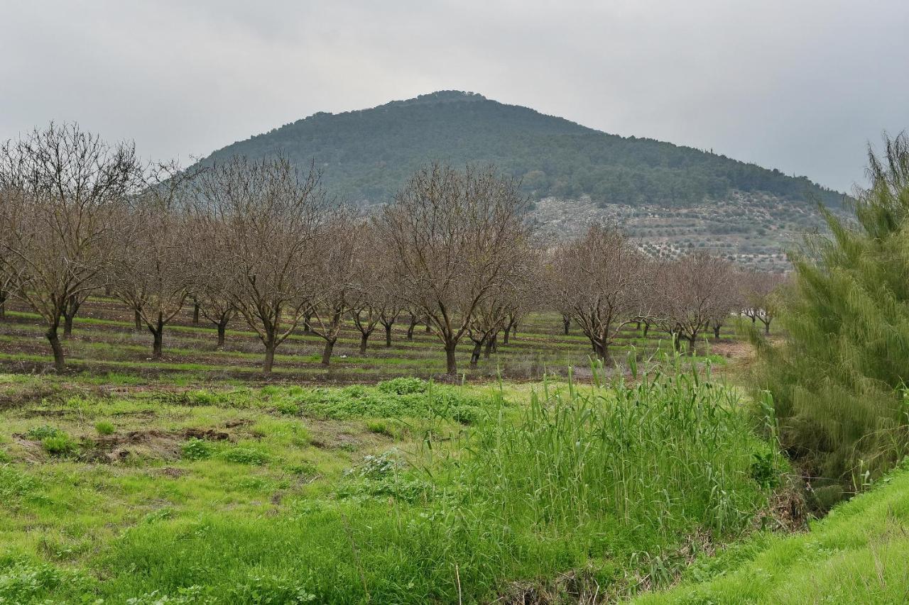 Pearl Of The Valley Hotel Kfar Tavor Kültér fotó